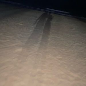 Meet your Posher, Nique